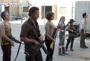Ver The Walking Dead temporada 3 episodio 11