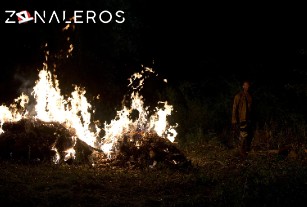 Ver The Walking Dead temporada 6 episodio 4