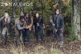 Ver The Walking Dead temporada 9 episodio 15